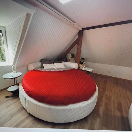 La Maison Dans La Foret Proche Europapark