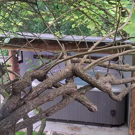 La Maison Dans La Foret Proche Europapark * Gerstheim